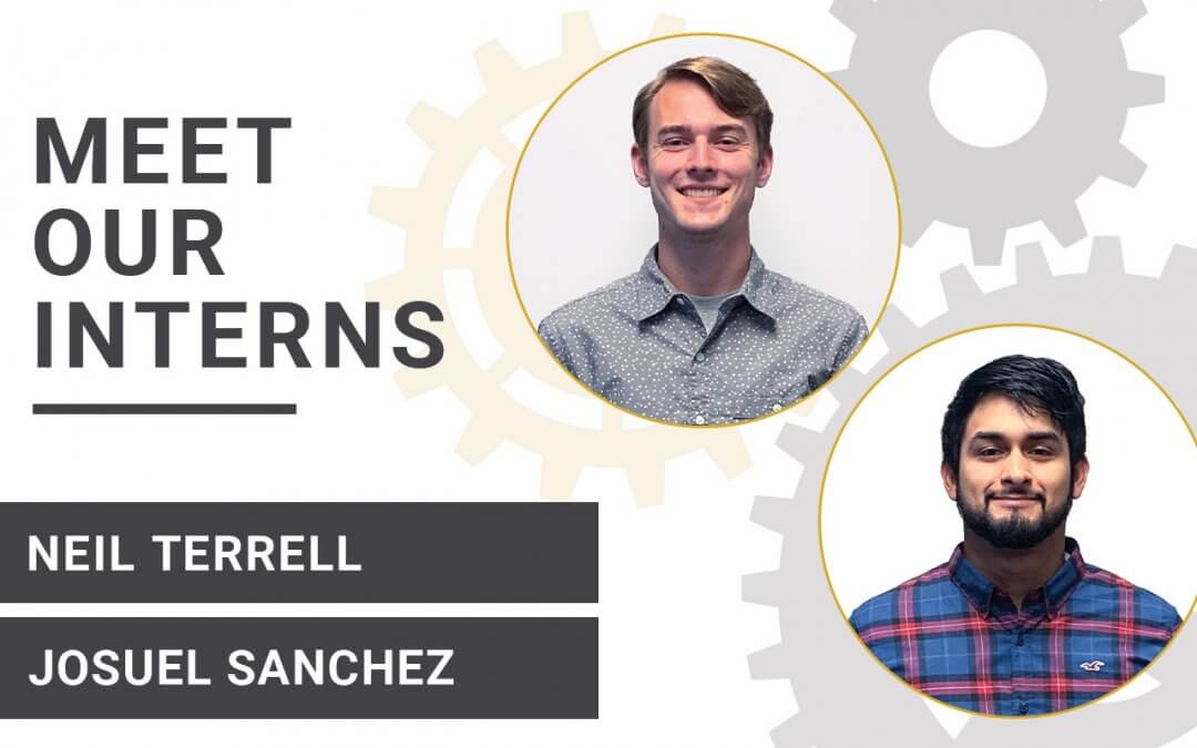 Meet Our Interns